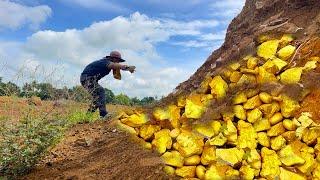 Amazing Finding Gold! Techniques for Finding Gold Nuggets Secrets to Successful