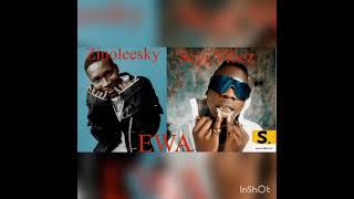 Seyi Vibez Ft Zinoleesky (EWA)