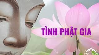 TÌNH PHẬT GIA /HỒ LỆ THU/ Nhạc Phật giáo rất hay.