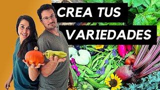 Cómo Crear una VARIEDAD | Paso a paso