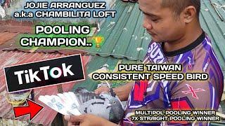 PURE TAIWAN CONSISTENT SPEED BIRD | MULTIPOL POOLING & 7X STRAIGHT POOLING WINNER | JOJIE ARRANGUEZ