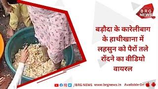 Video of garlic being trampled under feet at Hathikhana in Baroda's Karelibagh goes viral