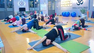 YOGA CƠ BẢN CHO MỌI NGƯỜI