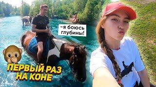 Что случилось, когда мы вернулись в табун? VLOG / Конные прогулки, галоп и купание