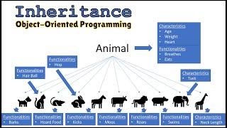 Understanding Inheritance with C++ | OOP Lecture