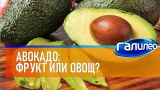 Галилео  Авокадо: фрукт или овощ?