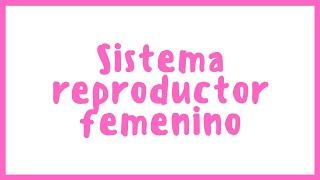 ANATOMÍA | Sistema reproductor femenino | Blasto Med