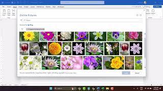 How to insert pictures in Microsoft Word