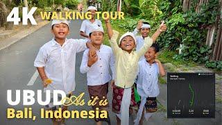 Ubud Bali Indonesia: 4K Virtual Walking Tour | Relax 4K video | Walk along Ubud quiet local streets