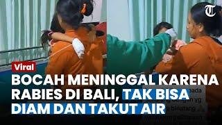 Kronologi Bocah Meninggal karena Rabies di Bali, Tak Langsung Dibawa ke RS karena Gigitan Kecil