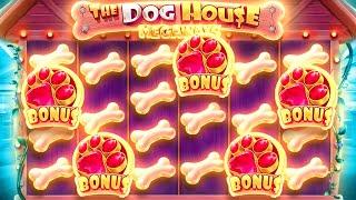 5 SCATTER BONUS *RARE* ON THE DOG HOUSE MEGAWAYS!