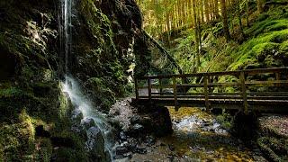 Landscape photography in Pucks Glen, Scotland