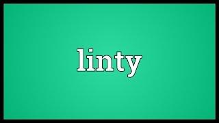 Linty Meaning