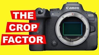 PHOTOGRAPHY TIPS - THE CROP FACTOR EXPLAINED FOR BEGINNERS - Full frame Vs cropped sensors.