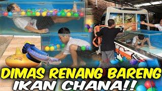 MALAH RENANG!! DIMAS DISURUH JAGA AQUARIUM MALAH RENANG BARENG CHANA