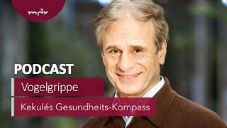 Vogelgrippe: Kein Alarm, aber ein Warnsignal | Podcast Kekulés Gesundheits-Kompass | MDR