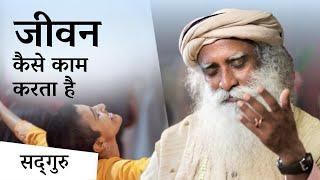 जीवन कैसे काम करता है? | Getting a Taste of Life | Sadhguru Hindi