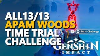 Apam Woods Time Trial Challenge Genshin Impact All 13/13