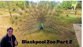 Blackpool zoo part 2 May 2023 what a fab day  @BlackpoolZoo1