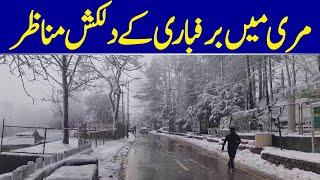 Footage Of Snowfall In Murree & Galiyat Region | Dawn News