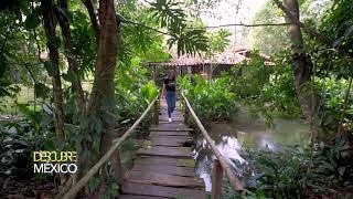 Chiapas Finca Valle Escondido Descubre México