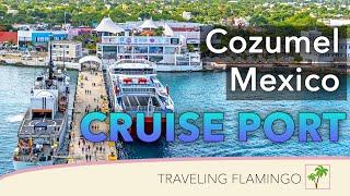  Cozumel Mexico Cruise Port  | What To Do In COZMEL!