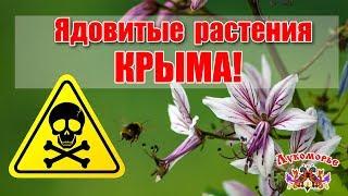 Ядовитые растения Крыма! - Детская Видео Энциклопедия "Лукоморье"