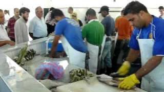 Fishmarket in Tripoli, Libya (part 1)