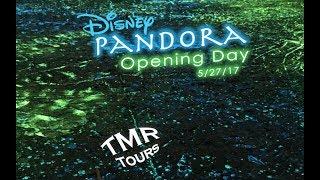 Pandora on OPENING DAY at Animal Kingdom - Walt Disney World