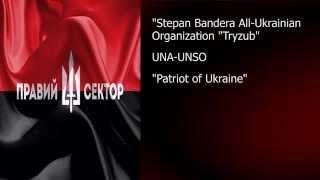 The Right Sector of Euromaidan. Part I