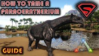 ARK HOW TO TAME A PARACERATHERIUM 2020 - EVERYTHING YOU NEED TO KNOW ABOUT TAMING A PARACERATHERIUM