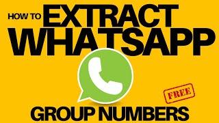 How To Extract Phone Numbers from WhatsApp Group