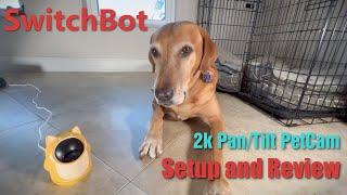 Keep an eye on your pets with SwitchBot Pan/Tilt 2k wireless pet cam