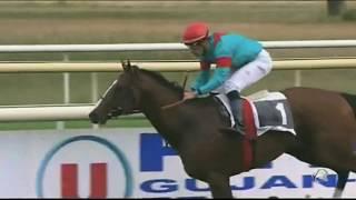 A tribute to Noozhoh Canarias {Rock you} Happy retirement