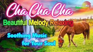 New Relaxing Music Beautifies the Soul, Beautiful Cha Cha Cha Melody Instrumental