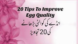 How To Improve Egg Quality? | 20 Tips To Improve Egg Quality | Supplements To Improve Egg Quality