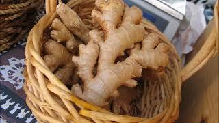 Ginger Root for Colds, Nausea, Anti-inflammatory, Antibacterial, Headaches