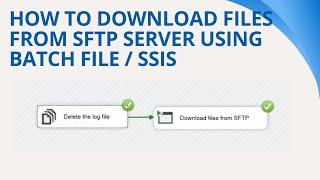 148 How to download files from sftp server using batch file / command line / ssis / WinScp