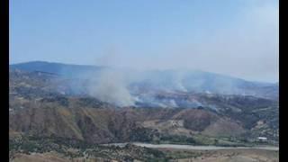 LA LOCRIDE IN FIAMME, CAUSE ED EFFETTI DEGLI INCENDI ESTIVI - IL VIDEO