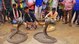 amazing street performers or busker |  cobra flute music played by snake charmer