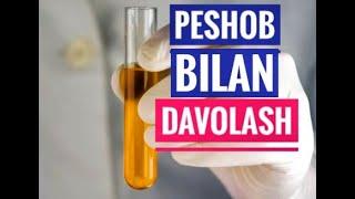 PESHOB BILAN DAVOLASH.Пешоб билан даволаш.