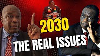 The truth about 2030 - What we found out about Mnangagwa, Chiwenga and others.