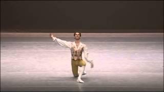 7th Seoul International Dance Competition Ballet Senior 1st Prize Dmitriy Zagrebin