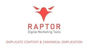 Duplicate Content & Canonical Duplication