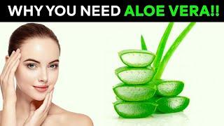 Amazing Benefits Of Aloe Vera You Need Everyday | 5 Ways To Use Aloe Vera