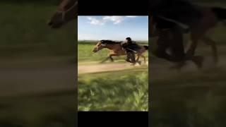 Omg he is flying 🫶 #horse #horses #funny #shortvideo #shorts #arabic #dubai #us #animal #animal