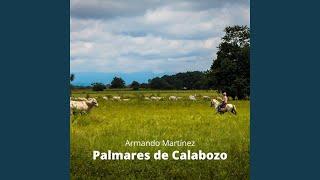 Palmares de Calabozo