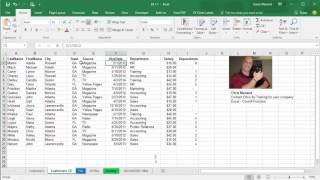 Excel Countif for text and numbers and named range by Chris Menard