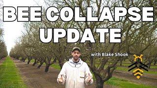 BEE COLLAPSE UPDATE - Boots on the ground in California with Blake Shook