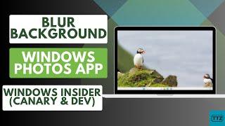 How to Blur Background in Windows Photos App on Windows 11 | Blur Images Instantly (New Feature)